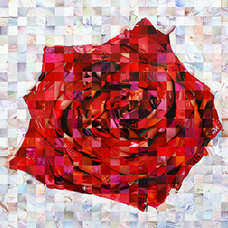 赤い薔薇　　Red Rose