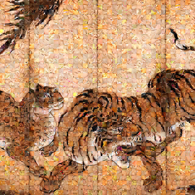 百景借景「龍虎図屏風・龍図」　Hyakkei Shakkei “RyuKo-zu (Dragon and Tiger Screens)・Dragon”